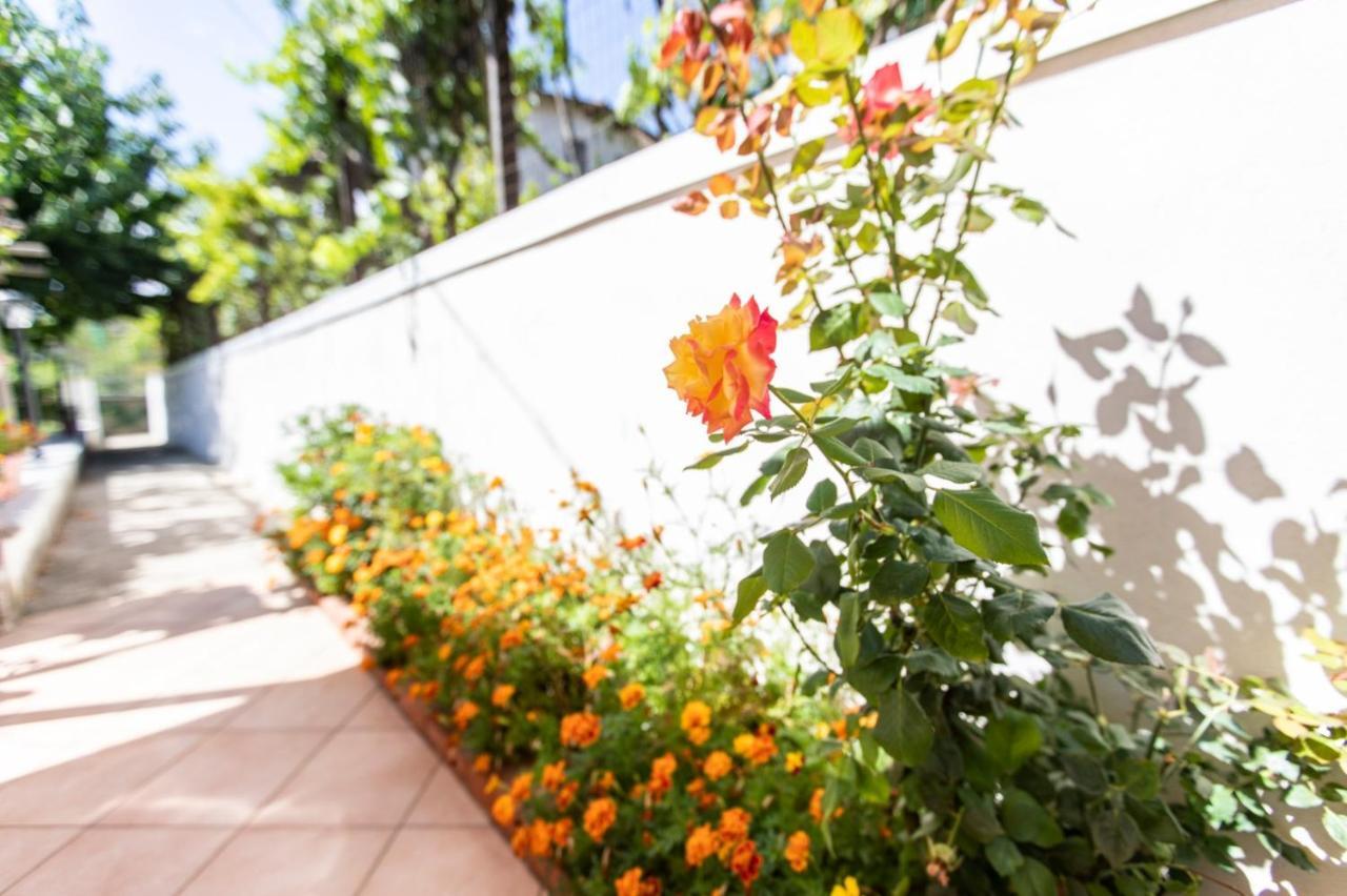 Sant'Anna Bed & Breakfast Agerola Exterior foto